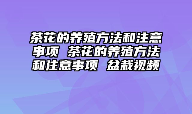 茶花的养殖方法和注意事项 茶花的养殖方法和注意事项 盆栽视频