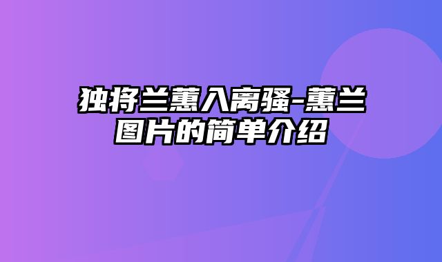 独将兰蕙入离骚-蕙兰图片的简单介绍