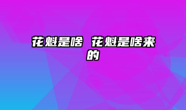 花魁是啥 花魁是啥来的