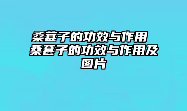 桑葚子的功效与作用 桑葚子的功效与作用及图片