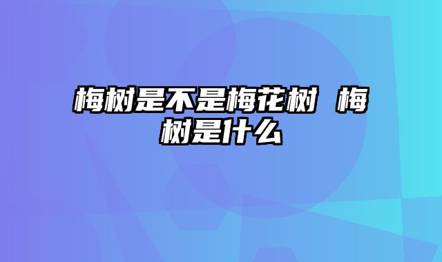 梅树是不是梅花树 梅树是什么