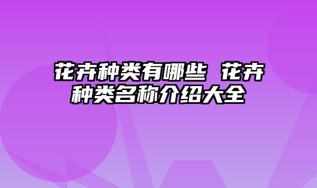花卉种类有哪些 花卉种类名称介绍大全