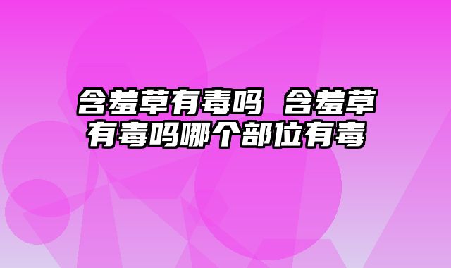 含羞草有毒吗 含羞草有毒吗哪个部位有毒