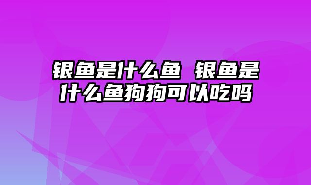 银鱼是什么鱼 银鱼是什么鱼狗狗可以吃吗