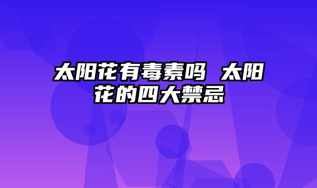 太阳花有毒素吗 太阳花的四大禁忌