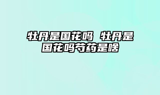 牡丹是国花吗 牡丹是国花吗芍药是啥
