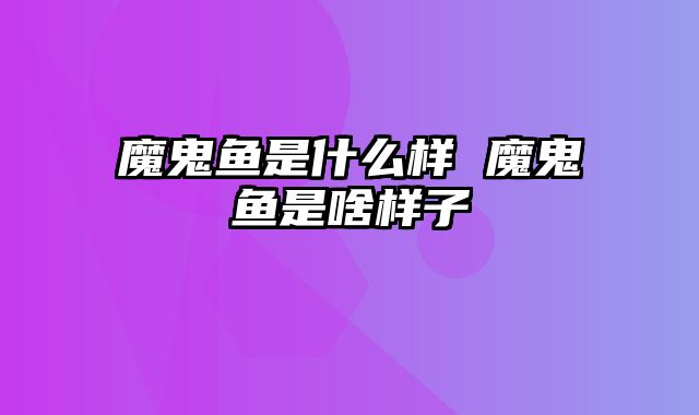 魔鬼鱼是什么样 魔鬼鱼是啥样子