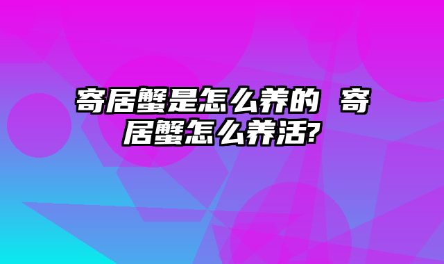 寄居蟹是怎么养的 寄居蟹怎么养活?