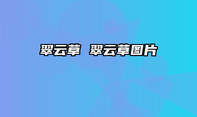 翠云草 翠云草图片