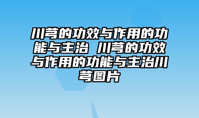 川芎的功效与作用的功能与主治 川芎的功效与作用的功能与主治川芎图片