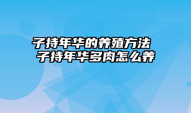 子持年华的养殖方法 子持年华多肉怎么养