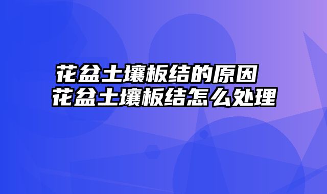 花盆土壤板结的原因 花盆土壤板结怎么处理
