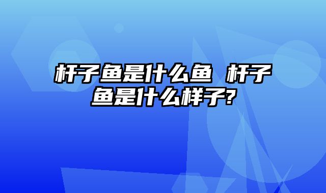 杆子鱼是什么鱼 杆子鱼是什么样子?