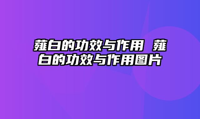 薤白的功效与作用 薤白的功效与作用图片