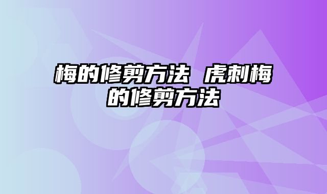 梅的修剪方法 虎刺梅的修剪方法