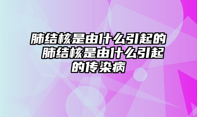 肺结核是由什么引起的 肺结核是由什么引起的传染病