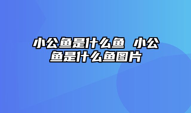 小公鱼是什么鱼 小公鱼是什么鱼图片
