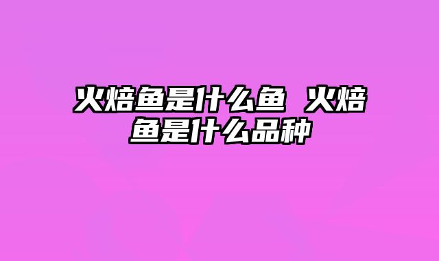 火焙鱼是什么鱼 火焙鱼是什么品种