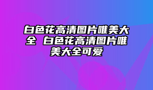 白色花高清图片唯美大全 白色花高清图片唯美大全可爱