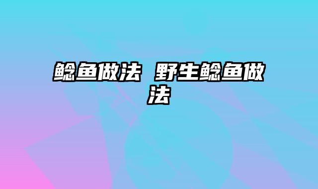 鲶鱼做法 野生鲶鱼做法