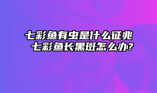 七彩鱼有虫是什么征兆 七彩鱼长黑斑怎么办?