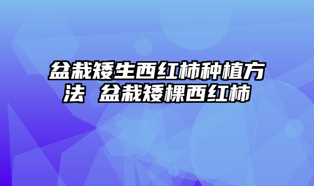 盆栽矮生西红柿种植方法 盆栽矮棵西红柿