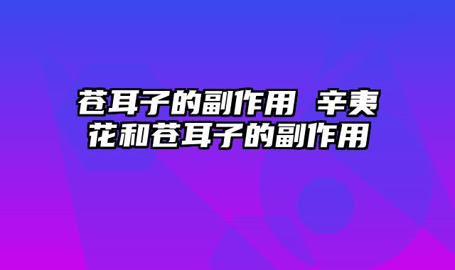 苍耳子的副作用 辛夷花和苍耳子的副作用