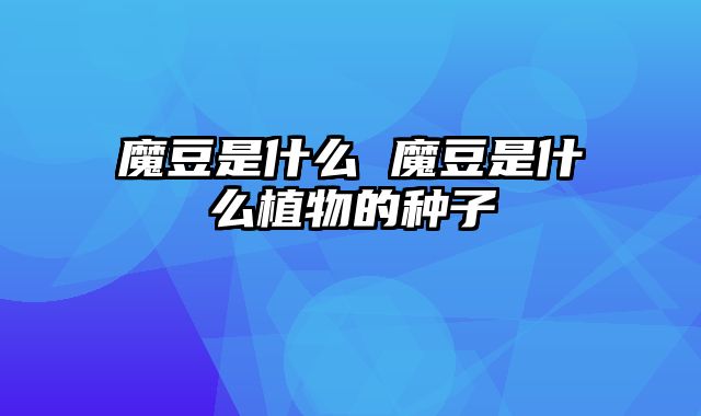 魔豆是什么 魔豆是什么植物的种子