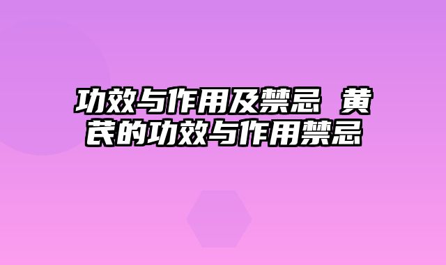 功效与作用及禁忌 黄芪的功效与作用禁忌