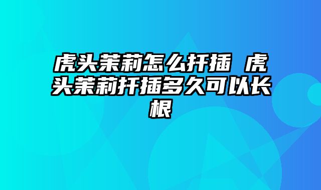 虎头茉莉怎么扦插 虎头茉莉扦插多久可以长根