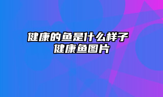 健康的鱼是什么样子 健康鱼图片