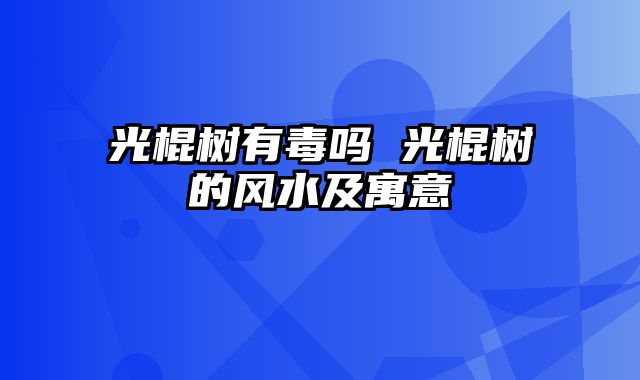 光棍树有毒吗 光棍树的风水及寓意
