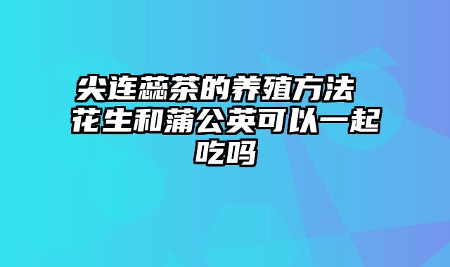 尖连蕊茶的养殖方法 花生和蒲公英可以一起吃吗
