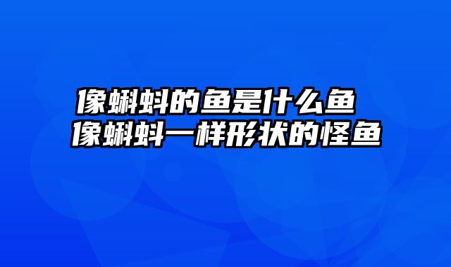 像蝌蚪的鱼是什么鱼 像蝌蚪一样形状的怪鱼