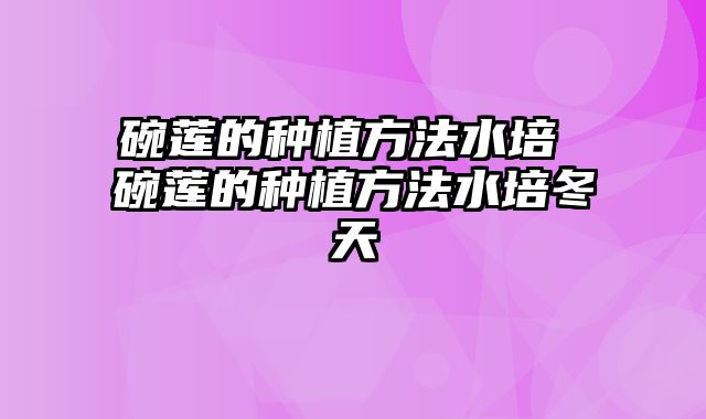 碗莲的种植方法水培 碗莲的种植方法水培冬天