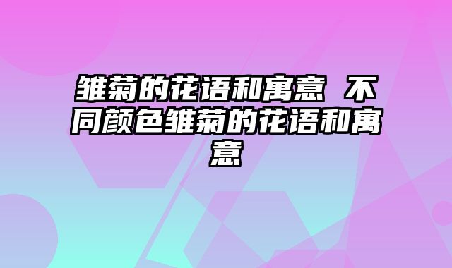雏菊的花语和寓意 不同颜色雏菊的花语和寓意