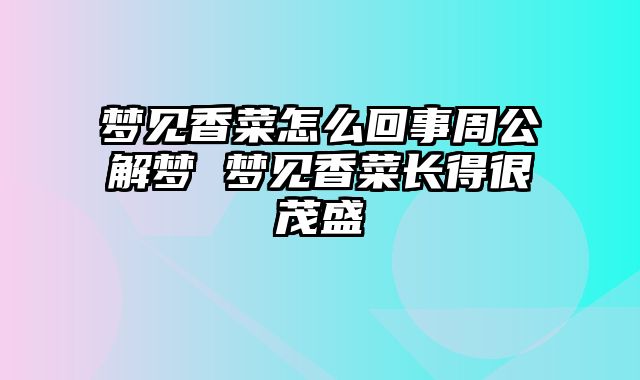 梦见香菜怎么回事周公解梦 梦见香菜长得很茂盛