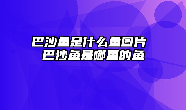 巴沙鱼是什么鱼图片 巴沙鱼是哪里的鱼