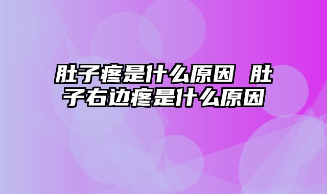 肚子疼是什么原因 肚子右边疼是什么原因