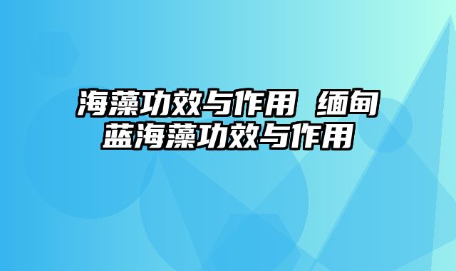 海藻功效与作用 缅甸蓝海藻功效与作用