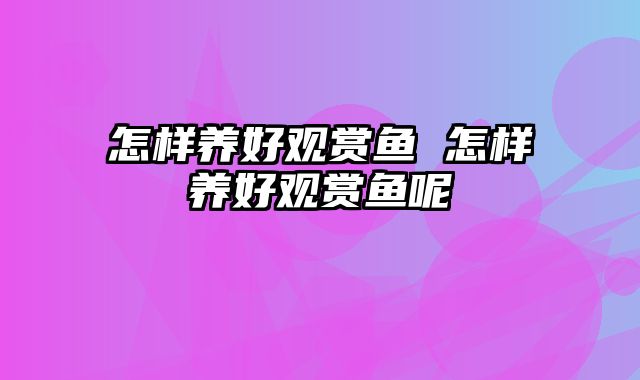 怎样养好观赏鱼 怎样养好观赏鱼呢