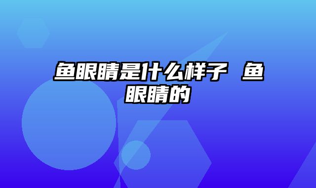 鱼眼睛是什么样子 鱼眼睛的