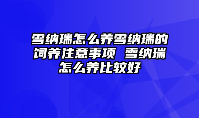 雪纳瑞怎么养雪纳瑞的饲养注意事项 雪纳瑞怎么养比较好