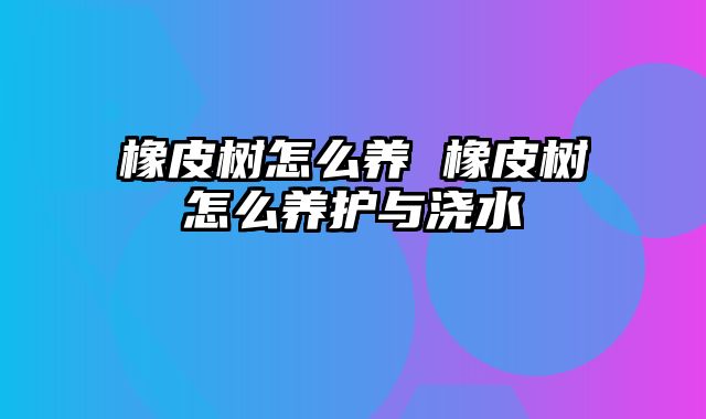 橡皮树怎么养 橡皮树怎么养护与浇水
