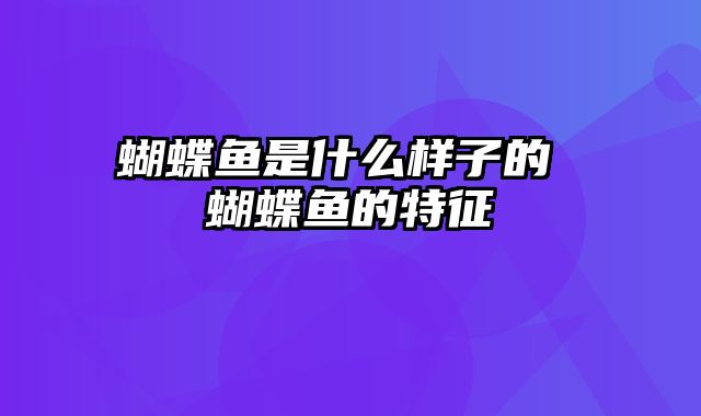 蝴蝶鱼是什么样子的 蝴蝶鱼的特征