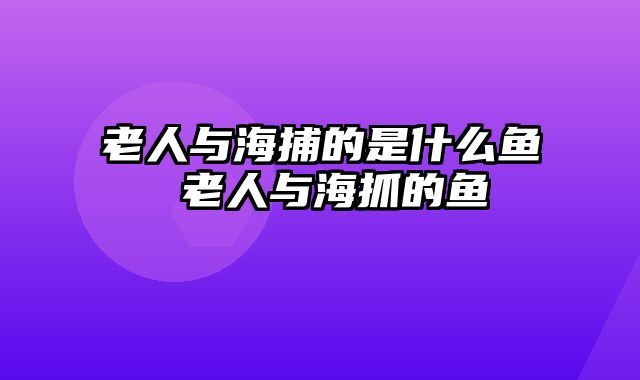 老人与海捕的是什么鱼 老人与海抓的鱼