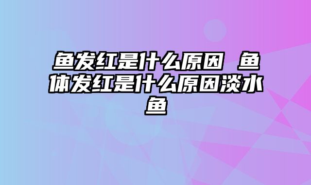 鱼发红是什么原因 鱼体发红是什么原因淡水鱼