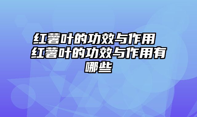 红薯叶的功效与作用 红薯叶的功效与作用有哪些