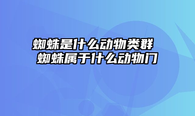 蜘蛛是什么动物类群 蜘蛛属于什么动物门