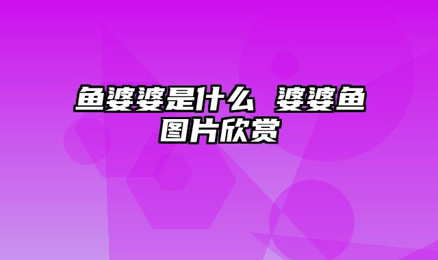 鱼婆婆是什么 婆婆鱼图片欣赏